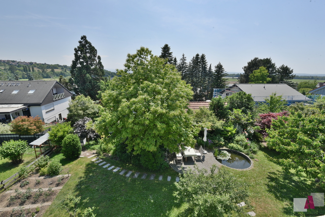 Blick in den Garten