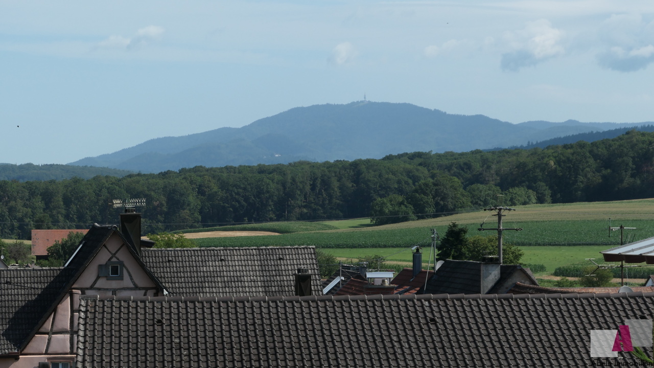 Aussicht von Zimmer 1 DG