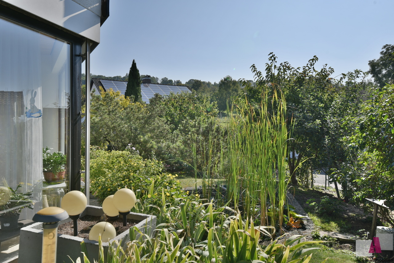 Gartenteich