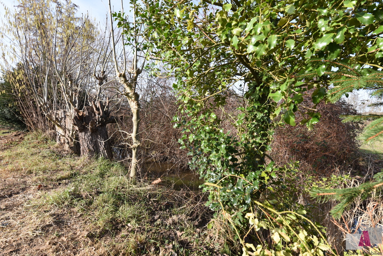 Mühlebach