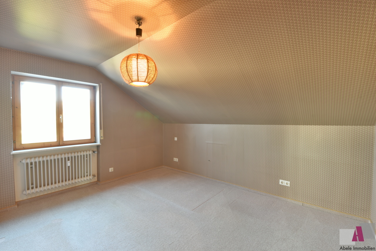 Zimmer1 DG