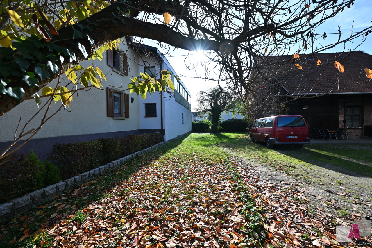 Blick von der Straße