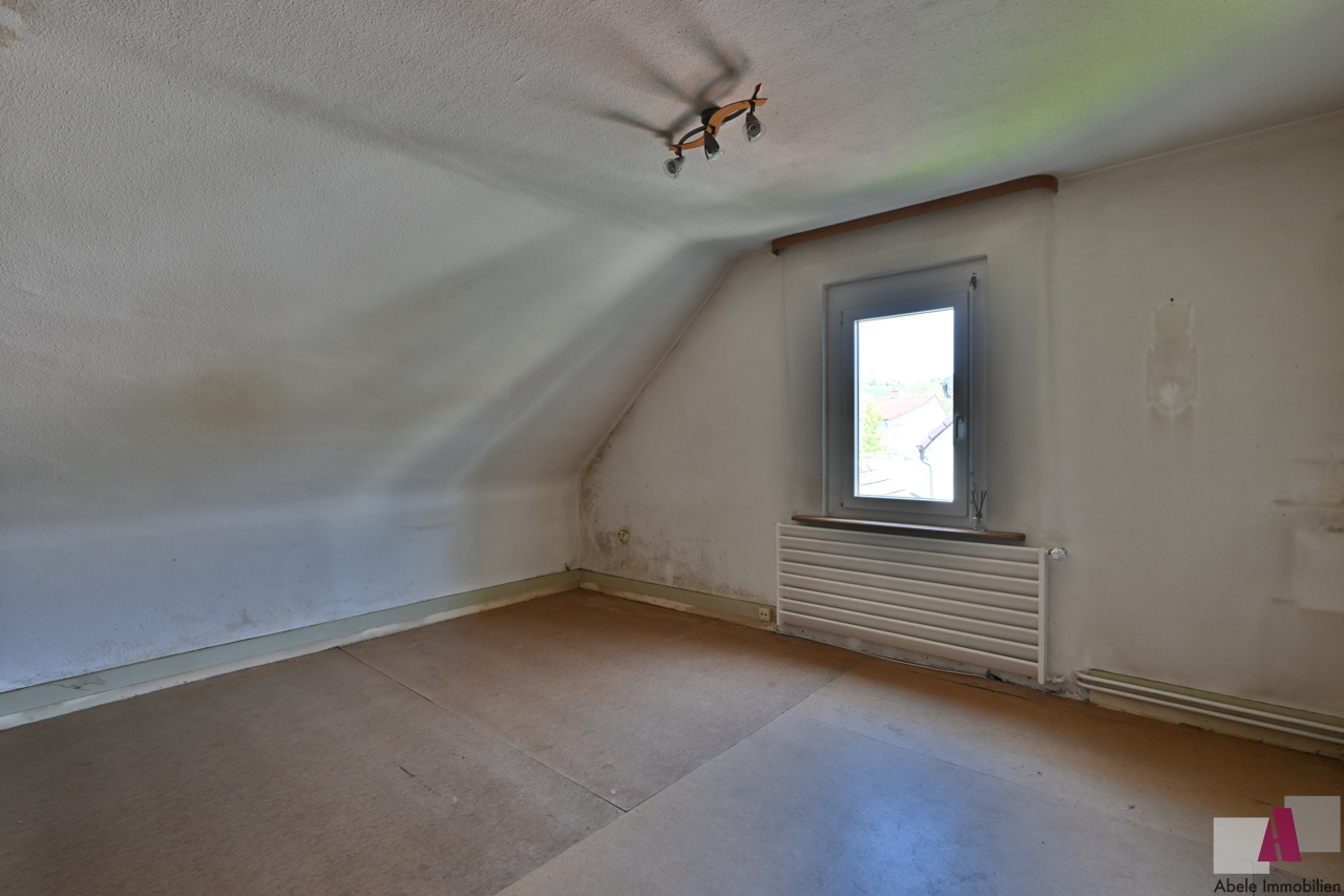 Zimmer1 DG