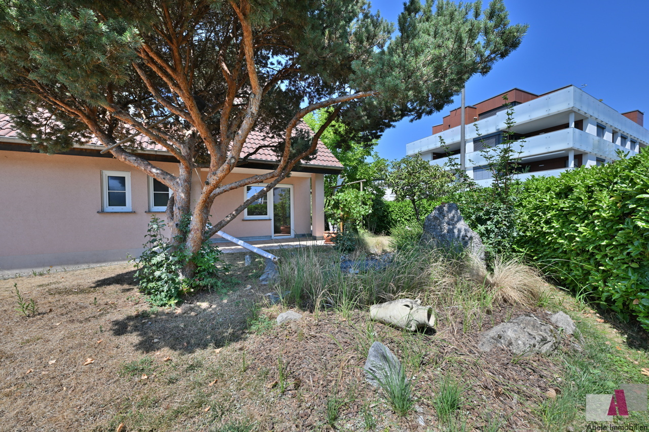 Gartenimpressionen