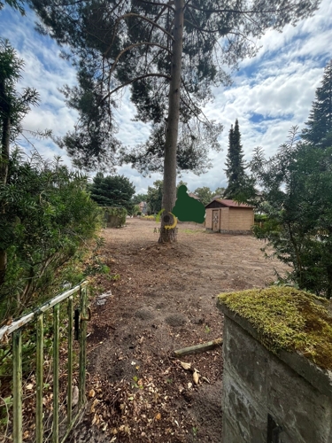 Hintereingang Garten