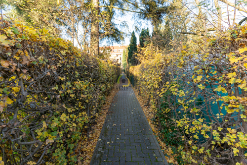 Weg zwischen den Gärten