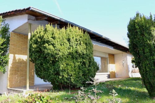 Außenansicht und Vorgarten