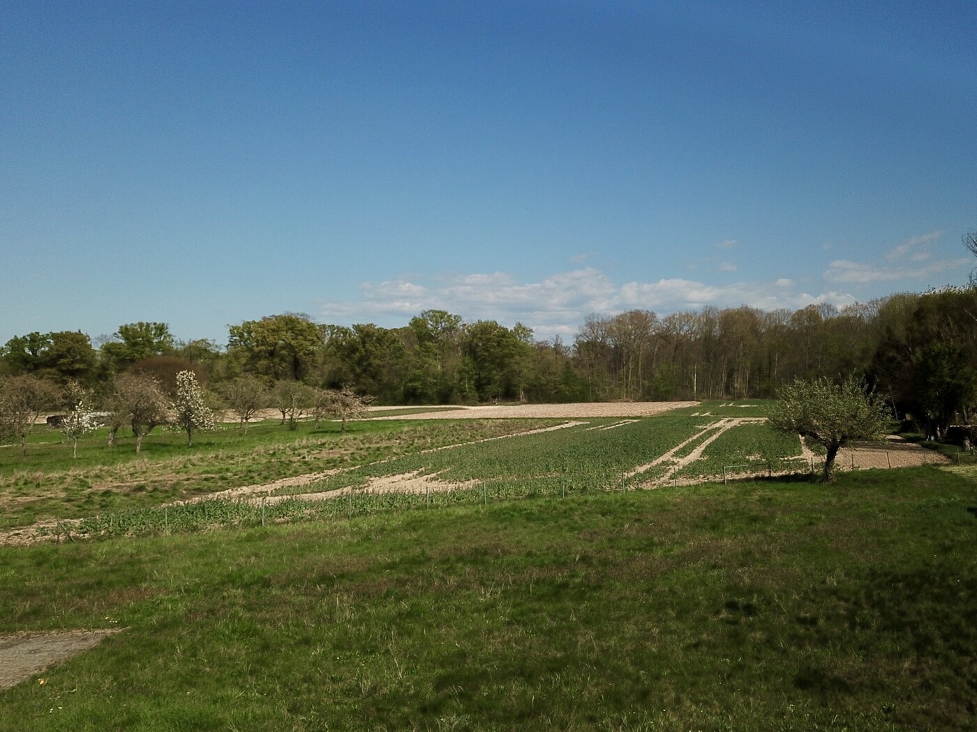 Ihre Aussicht