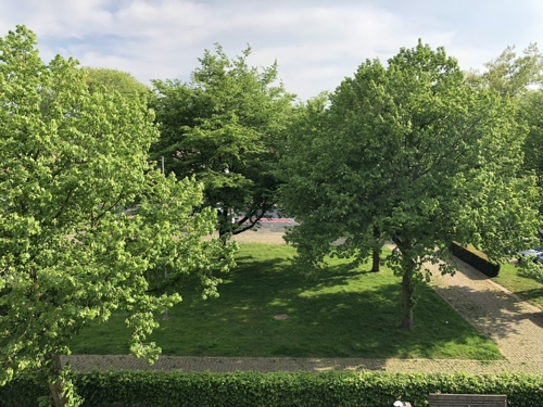 Ausblick