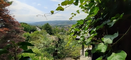 Aussicht2