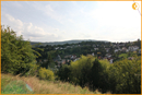 Blick