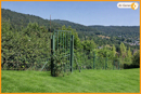 Gartentor grün