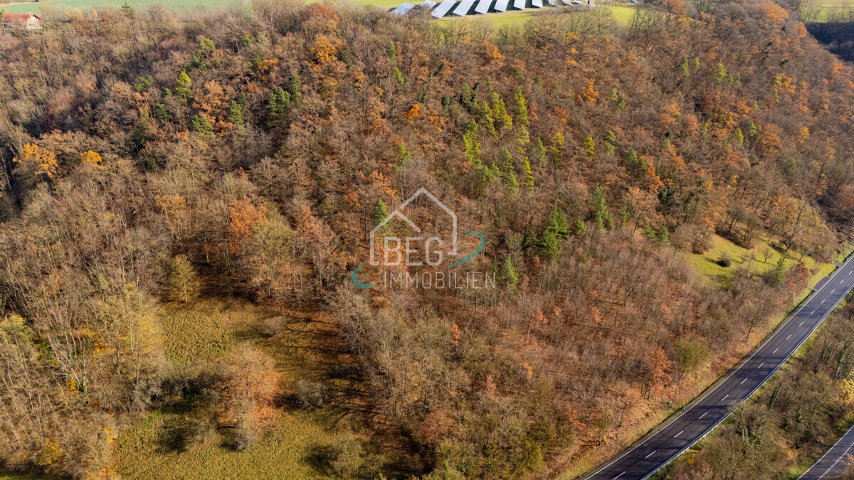 DJI_20251117114430_0011_D