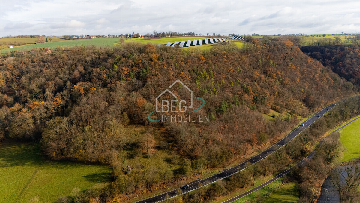 DJI_20251117114402_0008_D