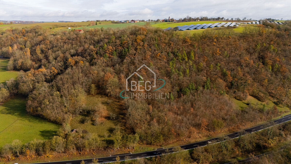 DJI_20251117114414_0009_D