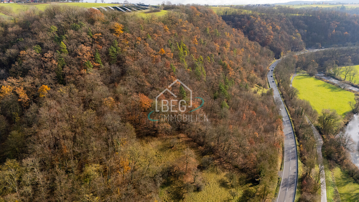 DJI_20251117114450_0012_D