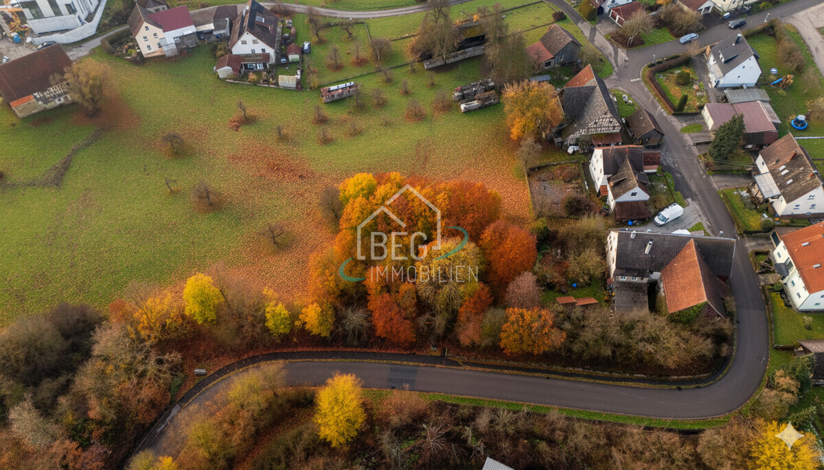 Generated Image February 06, 2026 - 11_51AM