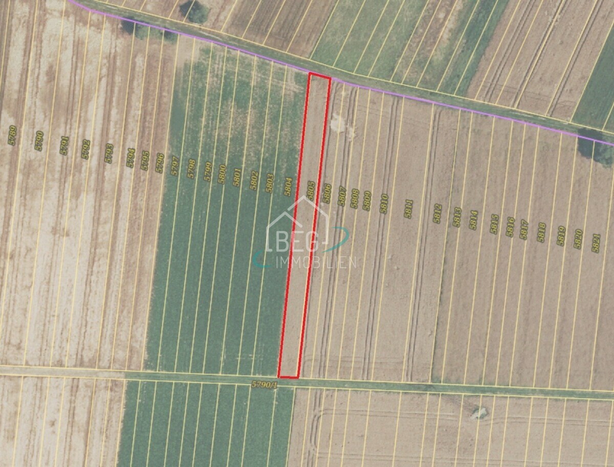 Flurstück 5805