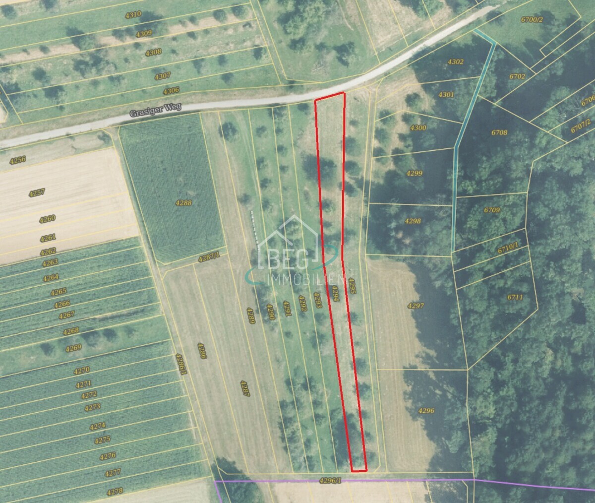 Flurstück 4294
