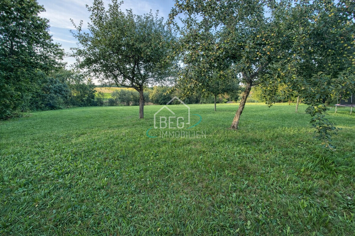 Ausblick aus dem Garten