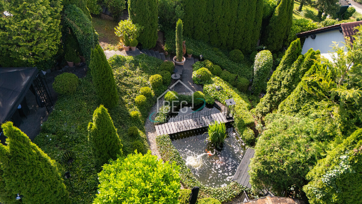 Vogelperspektive Teich