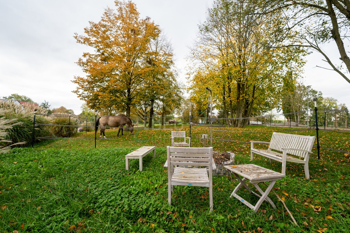 Pferdeweide