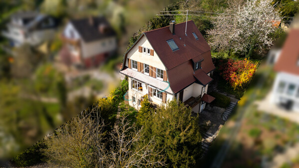 DJI_0932_zensiert