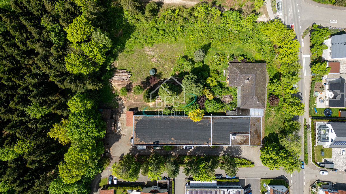 DJI_0156
