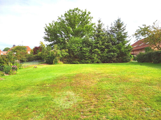 WhatsApp Image 2023-08-29 at 10.32.11