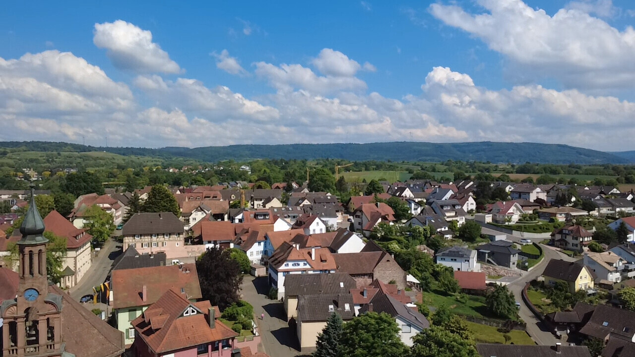 Blick auf den Schwarzwald