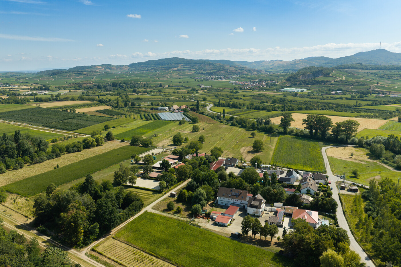 Lage zwischen Breisach und Kaiserstuhl (17)