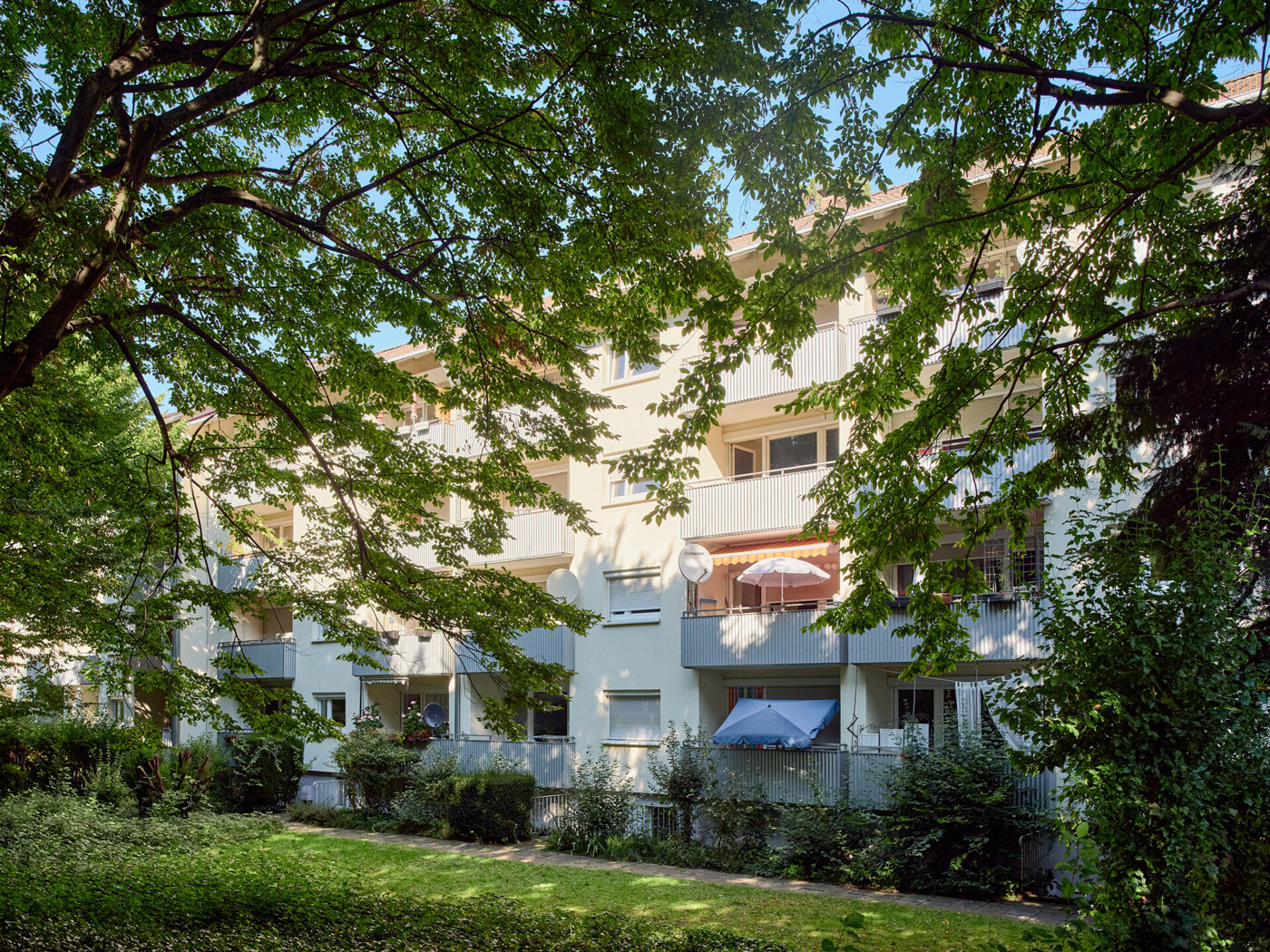 In Baumbestand eingebettet