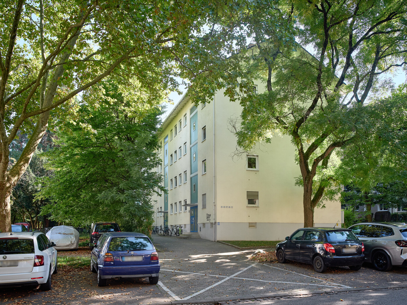 Hoher, alter Baumbestand