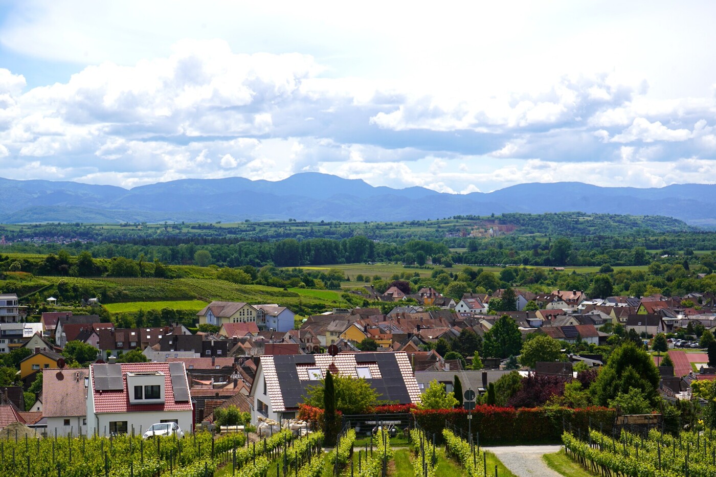 Blick zum Schwarzwald