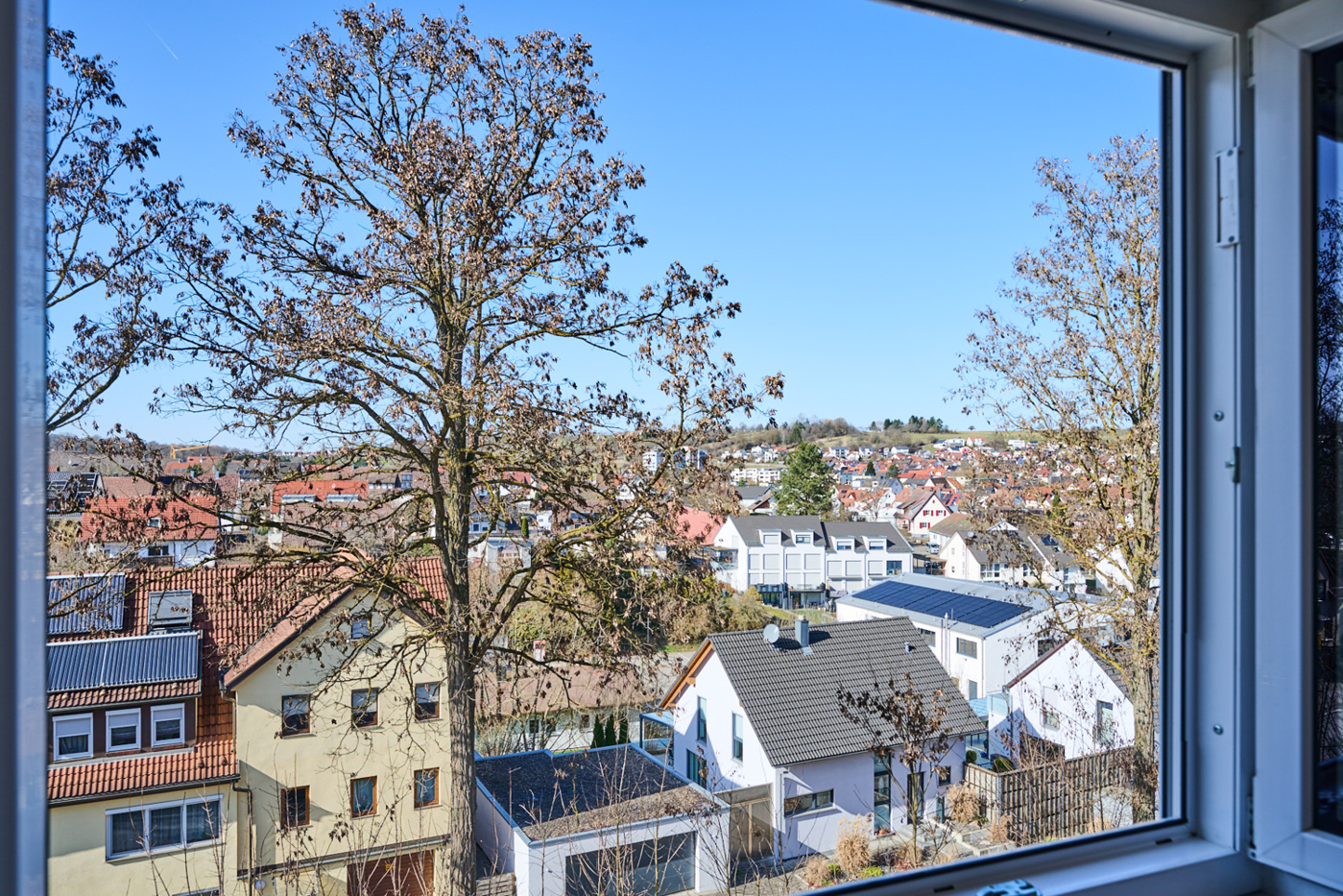 Ausblick