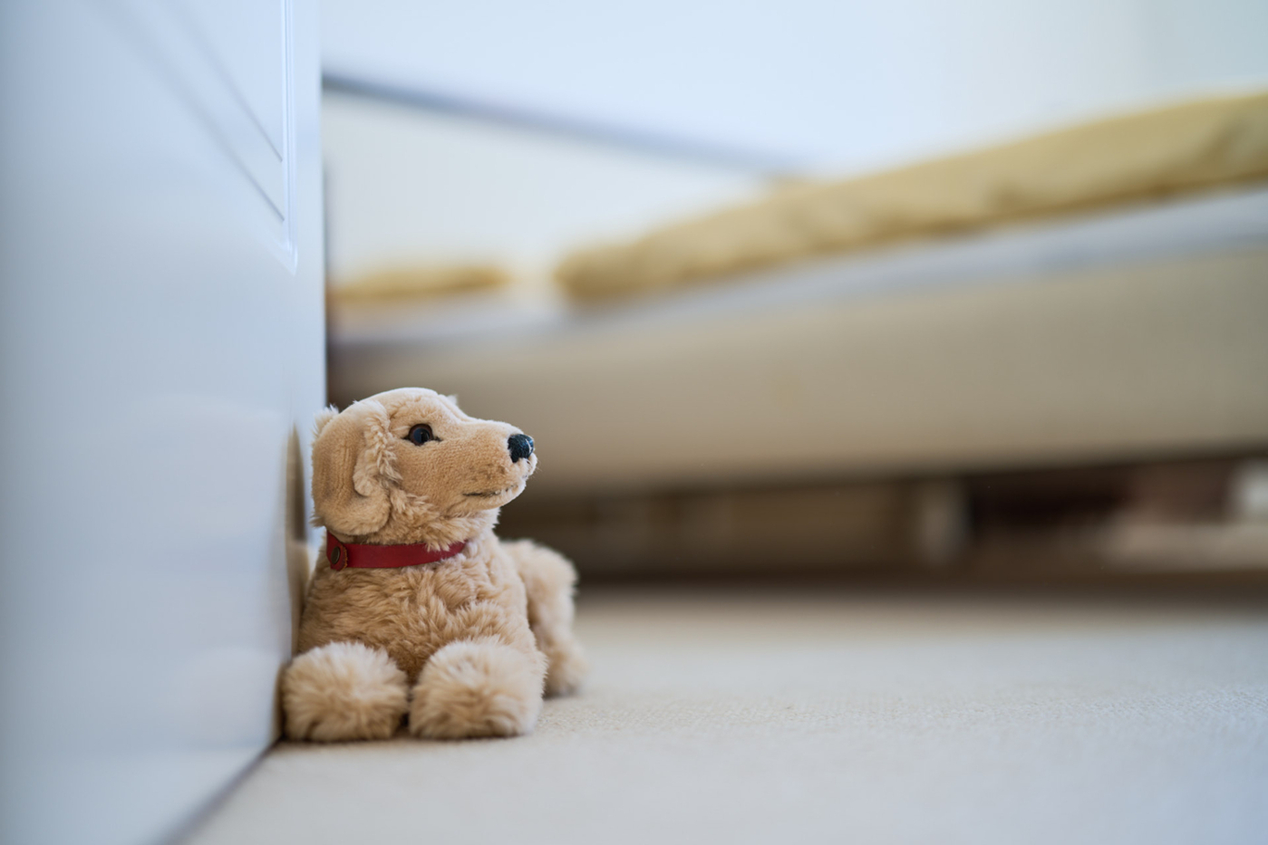 Remax_Immobilien_Wohnung_Brucknerstrasse_210746