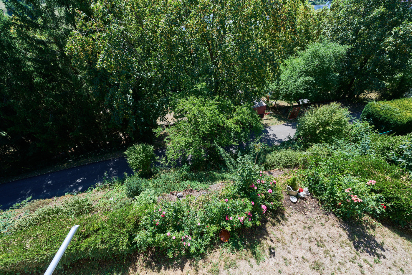 Blick auf den hangseitigen Garten