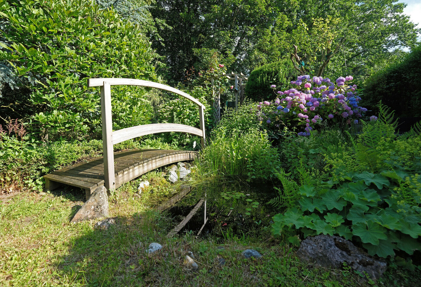 Garten_Teich