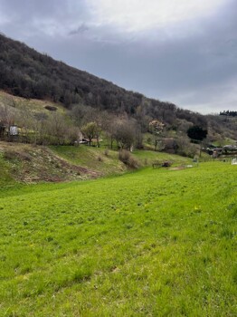 fd39ec50-8da8-4040-a009-3878b32c577f