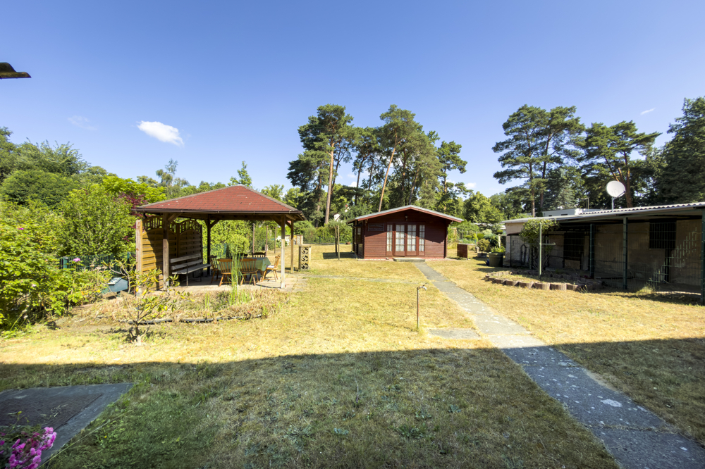 Blick in den Garten