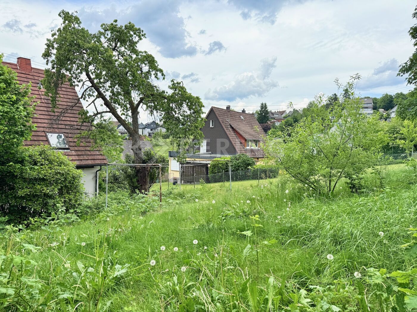 toller Garten...
