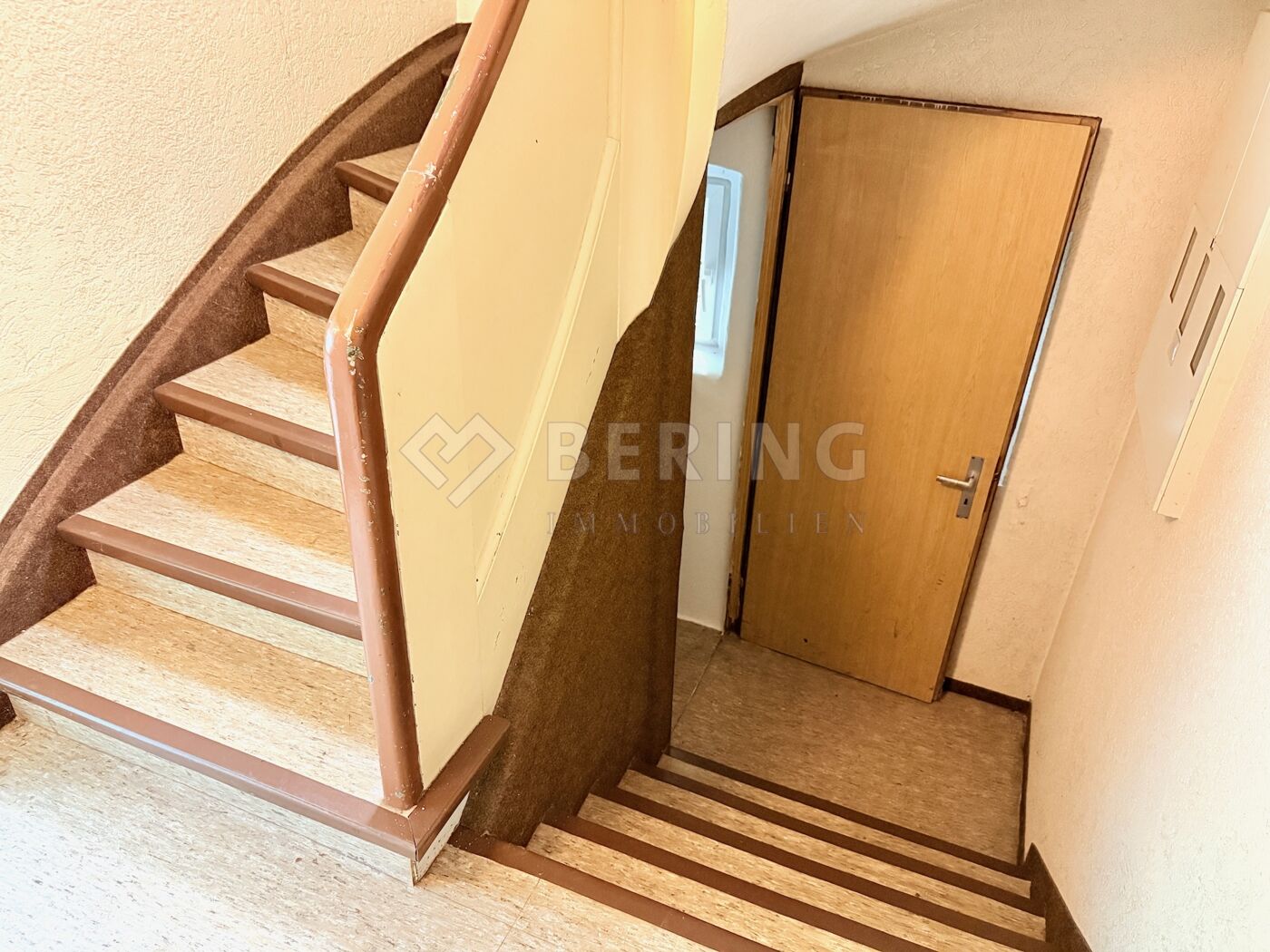 Jetzt in den Keller