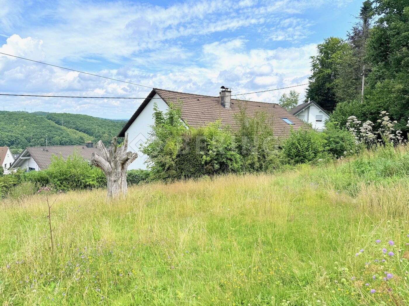 Grundstück