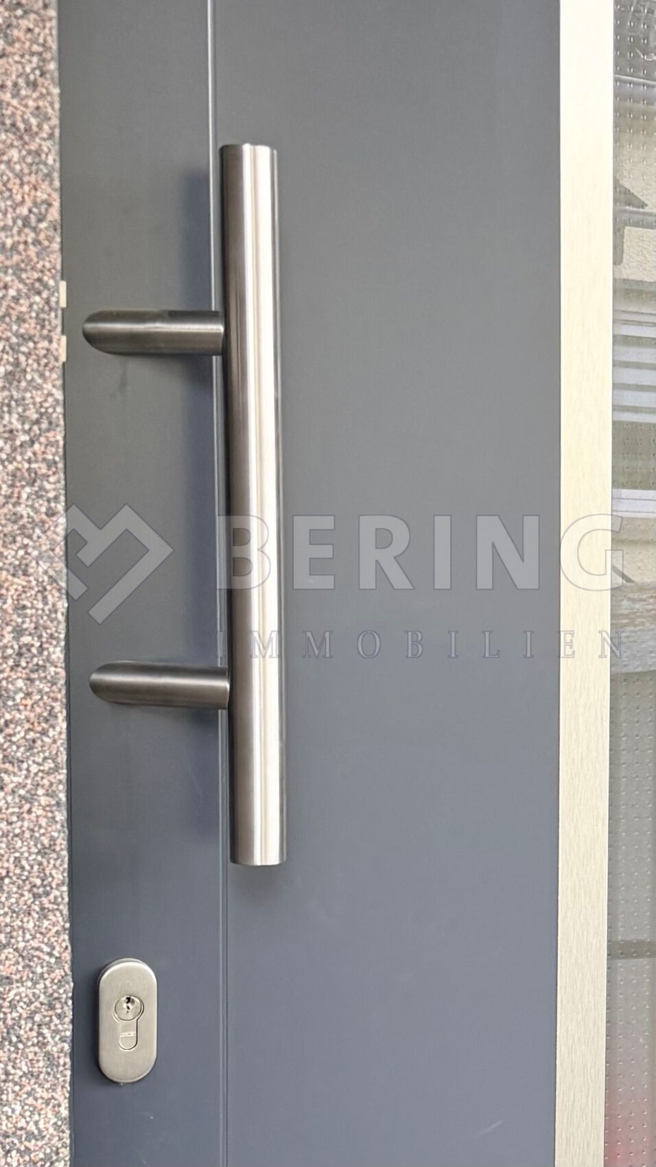 Neuwertige Haustüre