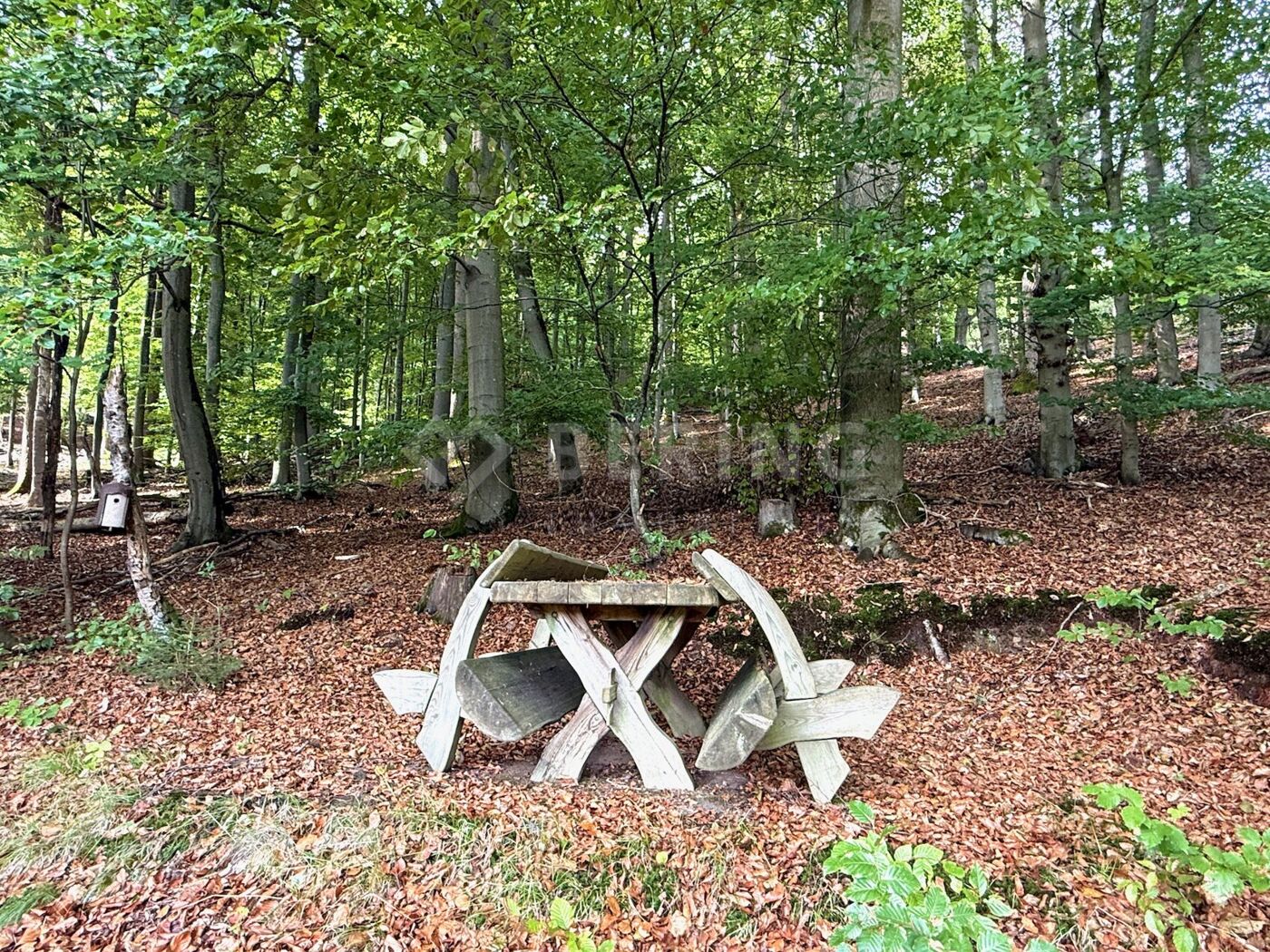 Direkt am Wald