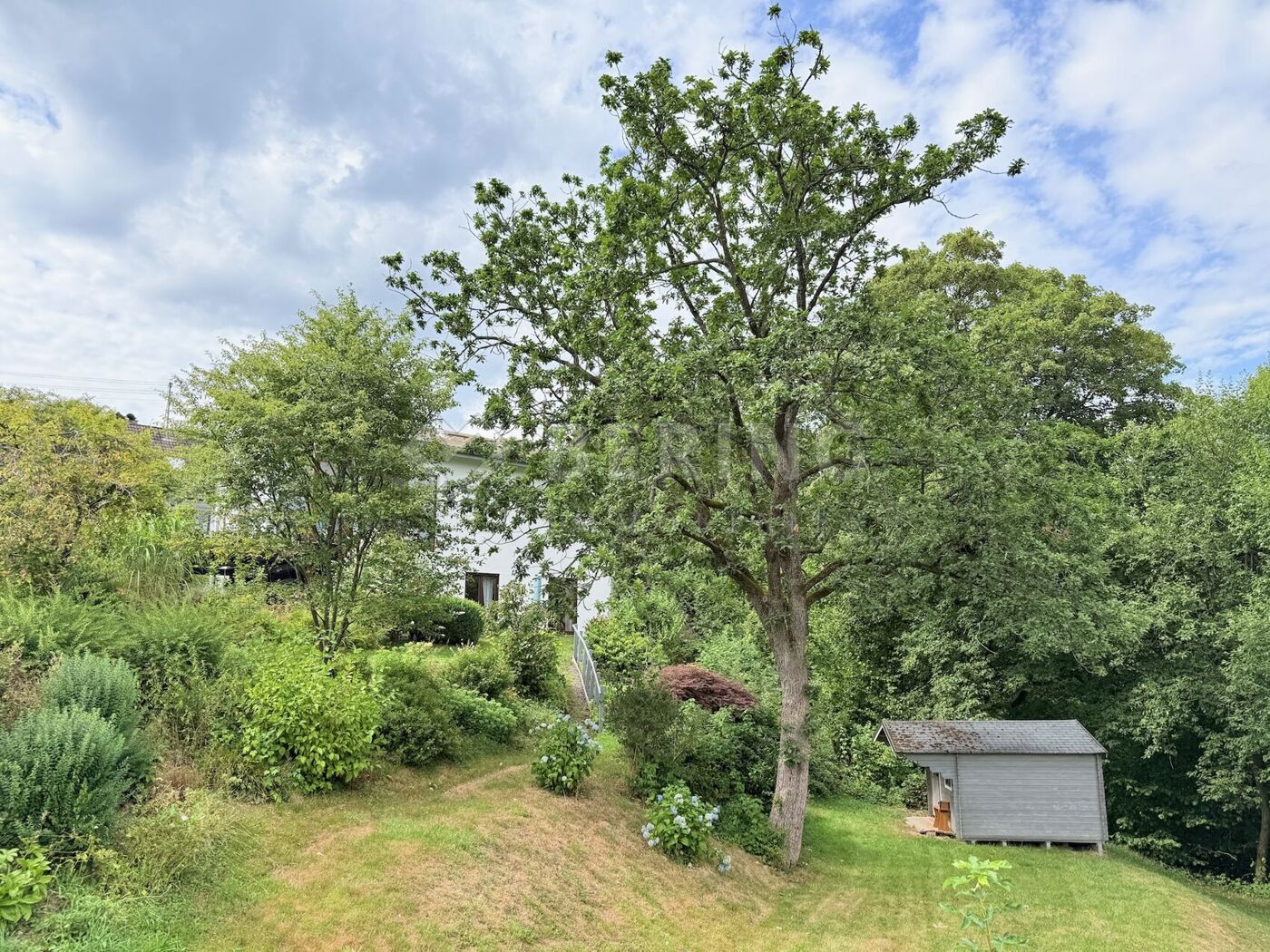 Gartenbereich