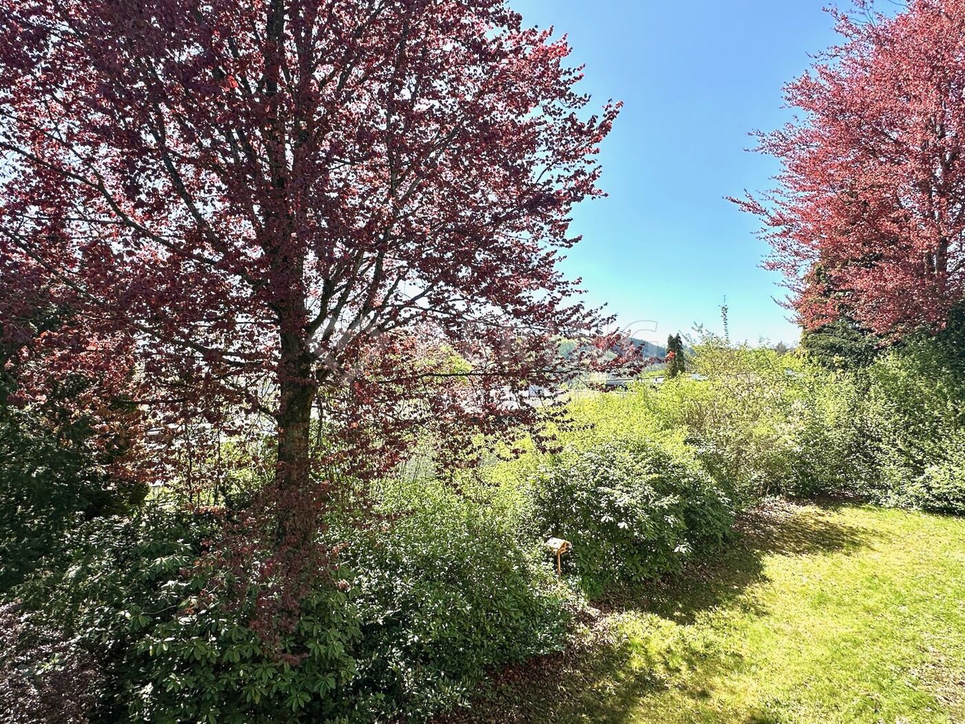 Pflegeleichter Garten