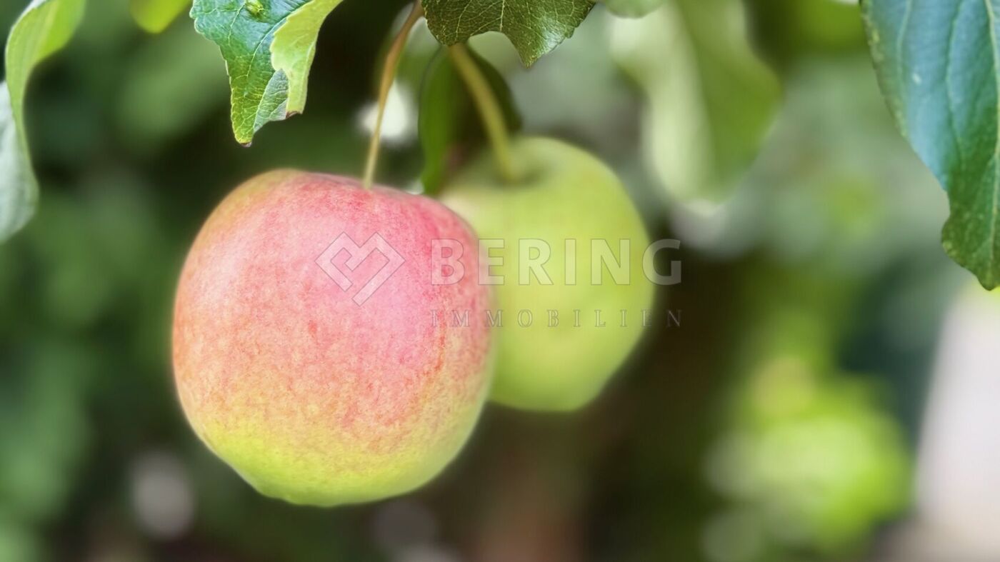 Äpfel