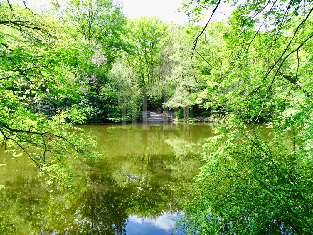 Steinbergsee