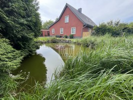 Teich auf dem Grundstück